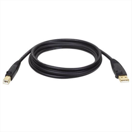 Tripp Lite U022-010 USB cable 120.1" (3.05 m) USB 2.0 USB A USB B Black1