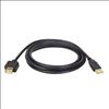 Tripp Lite U024-006 USB cable 72" (1.83 m) USB 2.0 USB A Black2