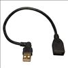 Tripp Lite U005-10I USB cable 9.84" (0.25 m) USB 2.0 USB A Black1