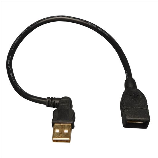 Tripp Lite U005-10I USB cable 9.84" (0.25 m) USB 2.0 USB A Black1