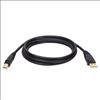 Tripp Lite U022-015 USB cable 177.2" (4.5 m) USB 2.0 USB A USB B Black1