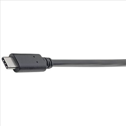 Tripp Lite U428-06N-F USB cable 5.91" (0.15 m) USB 3.2 Gen 2 (3.1 Gen 2) USB C USB A Black1