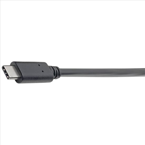 Tripp Lite U428-06N-F USB cable 5.91" (0.15 m) USB 3.2 Gen 2 (3.1 Gen 2) USB C USB A Black1