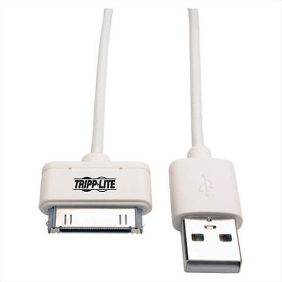 Tripp Lite USB - Apple 30-Pin, 1m mobile phone cable White 39.4" (1 m) USB A1
