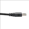 Tripp Lite U320-003-BK USB cable 35.4" (0.9 m) USB 3.2 Gen 1 (3.1 Gen 1) USB A Black2