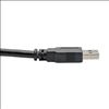 Tripp Lite U320-006-BK USB cable 70.9" (1.8 m) USB 3.2 Gen 1 (3.1 Gen 1) USB A Black3