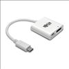 Tripp Lite U444-06N-DP-C USB graphics adapter White1