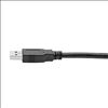 Tripp Lite U325-006 USB cable 72" (1.83 m) USB 3.2 Gen 1 (3.1 Gen 1) USB A Black5