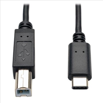 Tripp Lite U040-006 USB cable 72" (1.83 m) USB 2.0 USB B USB C Black1