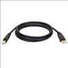 Tripp Lite U022-010-R USB cable 120.1" (3.05 m) USB 2.0 USB A USB B Black1