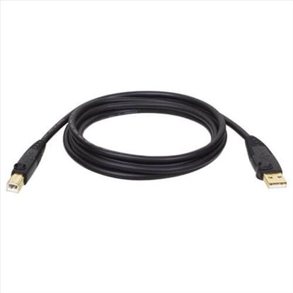 Tripp Lite U022-010-R USB cable 120.1" (3.05 m) USB 2.0 USB A USB B Black1