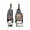 Picture of Tripp Lite U042-030 USB cable 359.8" (9.14 m) USB 2.0 USB A USB B Black, Translucent