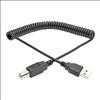 Tripp Lite U022-010-COIL USB cable 122" (3.1 m) USB 2.0 USB A USB B Black1