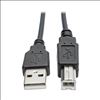 Tripp Lite U022-010-COIL USB cable 122" (3.1 m) USB 2.0 USB A USB B Black2