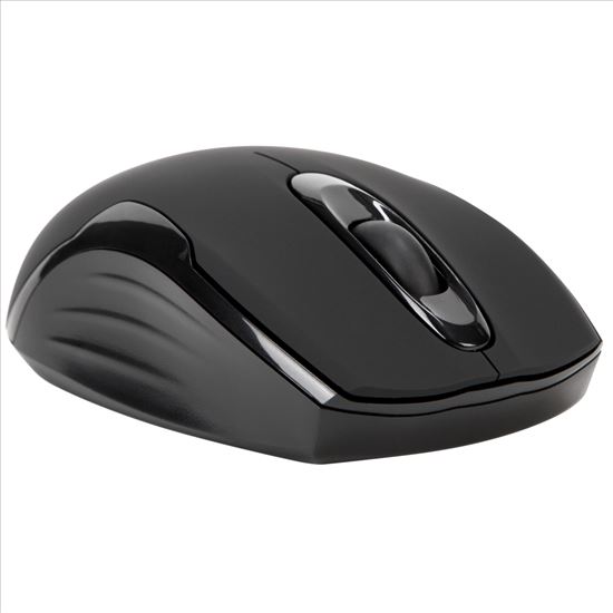 Targus W575 mouse Ambidextrous RF Wireless Optical 1600 DPI1