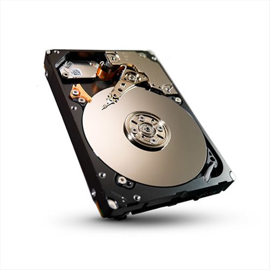 Seagate Savvio 10K.6 300GB 2.5" SAS1