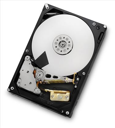 HGST Ultrastar 7K4000 4TB 3.5" 4000 GB Serial ATA III1