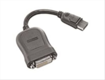 Lenovo 45J7915 video cable adapter 7.87" (0.2 m) DVI-D DisplayPort1