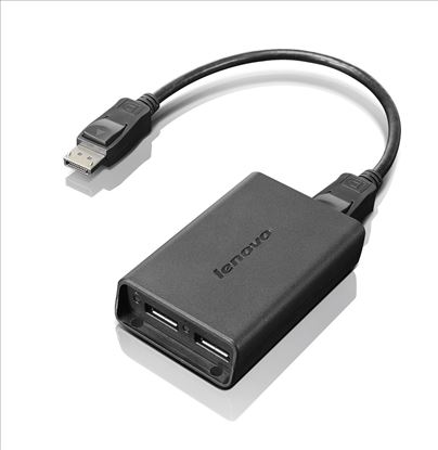 Lenovo DisplayPort to Dual-DisplayPort Monitor Cable USB cable USB A Black1