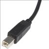 StarTech.com USB2HAB10 USB cable 118.1" (3 m) USB 2.0 USB A USB B Black3