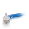 C2G 6" Cat6 networking cable Blue 5.91" (0.15 m) U/UTP (UTP)3