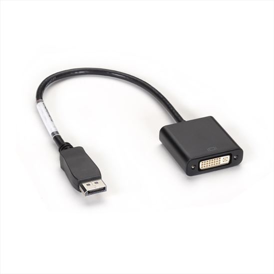 Black Box EVNDPDVI-MF-R3 video cable adapter DisplayPort DVI-D1