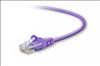 Belkin Cat5e, 10ft, 1 x RJ-45, 1 x RJ-45, Purple networking cable 118.1" (3 m)1