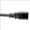 Tripp Lite P036-002 power cable Black 24" (0.61 m) C19 coupler C20 coupler3