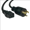 Tripp Lite P045-010 power cable Black 120.1" (3.05 m) C19 coupler NEMA L5-20P1