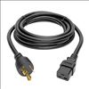 Tripp Lite P045-010 power cable Black 120.1" (3.05 m) C19 coupler NEMA L5-20P3