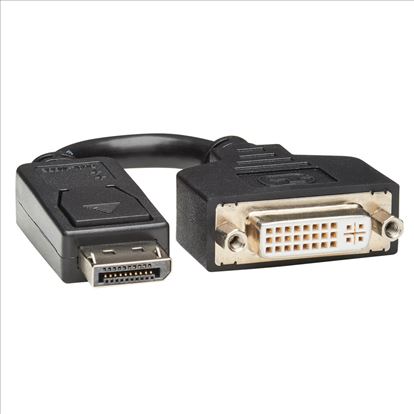 Tripp Lite P134-000 video cable adapter 5.91" (0.15 m) Displayport DVI-I Black1