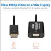 Tripp Lite P134-06N-VGA-V2 video cable adapter 5.91" (0.15 m) DisplayPort VGA (HD15) Black4