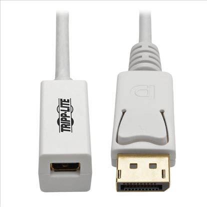 Tripp Lite P134-06N-MDP DisplayPort cable 7.87" (0.2 m) Mini DisplayPort White1