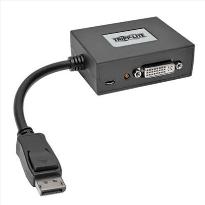 Tripp Lite B156-002-DVI-V2 video cable adapter DisplayPort 2 x DVI Black1