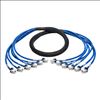 Tripp Lite N261-006-6FF-BL networking cable Blue 70.9" (1.8 m) Cat61