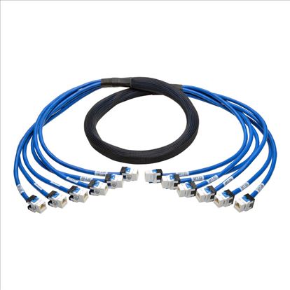 Tripp Lite N261-006-6FF-BL networking cable Blue 70.9" (1.8 m) Cat61