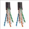 Tripp Lite N222-01K-BK networking cable Black 12000" (304.8 m) Cat6 U/UTP (UTP)2