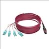 Tripp Lite N845-05M-8L-MG fiber optic cable 196.9" (5 m) MPO/MTP 8x LC CMP OM4 Black, Magenta, Turquoise3