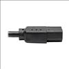 Tripp Lite P006-003 power cable Black 35.8" (0.91 m) NEMA 5-15P C13 coupler4