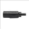 Tripp Lite P006-003 power cable Black 35.8" (0.91 m) NEMA 5-15P C13 coupler6