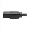Tripp Lite P006-003 power cable Black 35.8" (0.91 m) NEMA 5-15P C13 coupler7