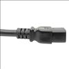 Tripp Lite P036-006-2C19 power cable Black 70.9" (1.8 m) IEC C20 2 x C19 coupler6