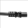 Tripp Lite P032-003 power cable Black 39.4" (1 m) C13 coupler C20 coupler4