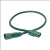 Tripp Lite P005-002-AGN power cable Green 23.6" (0.6 m) C14 coupler C13 coupler2