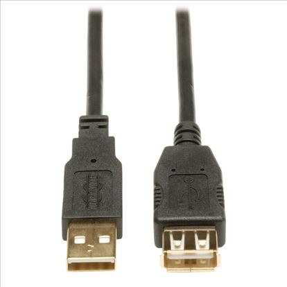 Tripp Lite U024-010 USB cable 120.1" (3.05 m) USB 2.0 USB A Black1