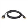 Tripp Lite U024-010 USB cable 120.1" (3.05 m) USB 2.0 USB A Black2