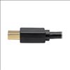Tripp Lite U444-006-MDP USB graphics adapter 3840 x 2160 pixels Black6