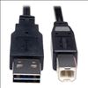 Tripp Lite UR022-010 USB cable 120.1" (3.05 m) USB 2.0 USB A USB B Black1