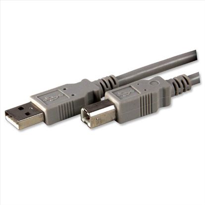 IMC Networks USBAMBM-6F USB cable 71.7" (1.82 m) USB 2.0 USB A USB B Gray1
