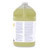 Liqu-A-Klor Disinfectant/Sanitizer, 1 gal Bottle, 4/Carton2
